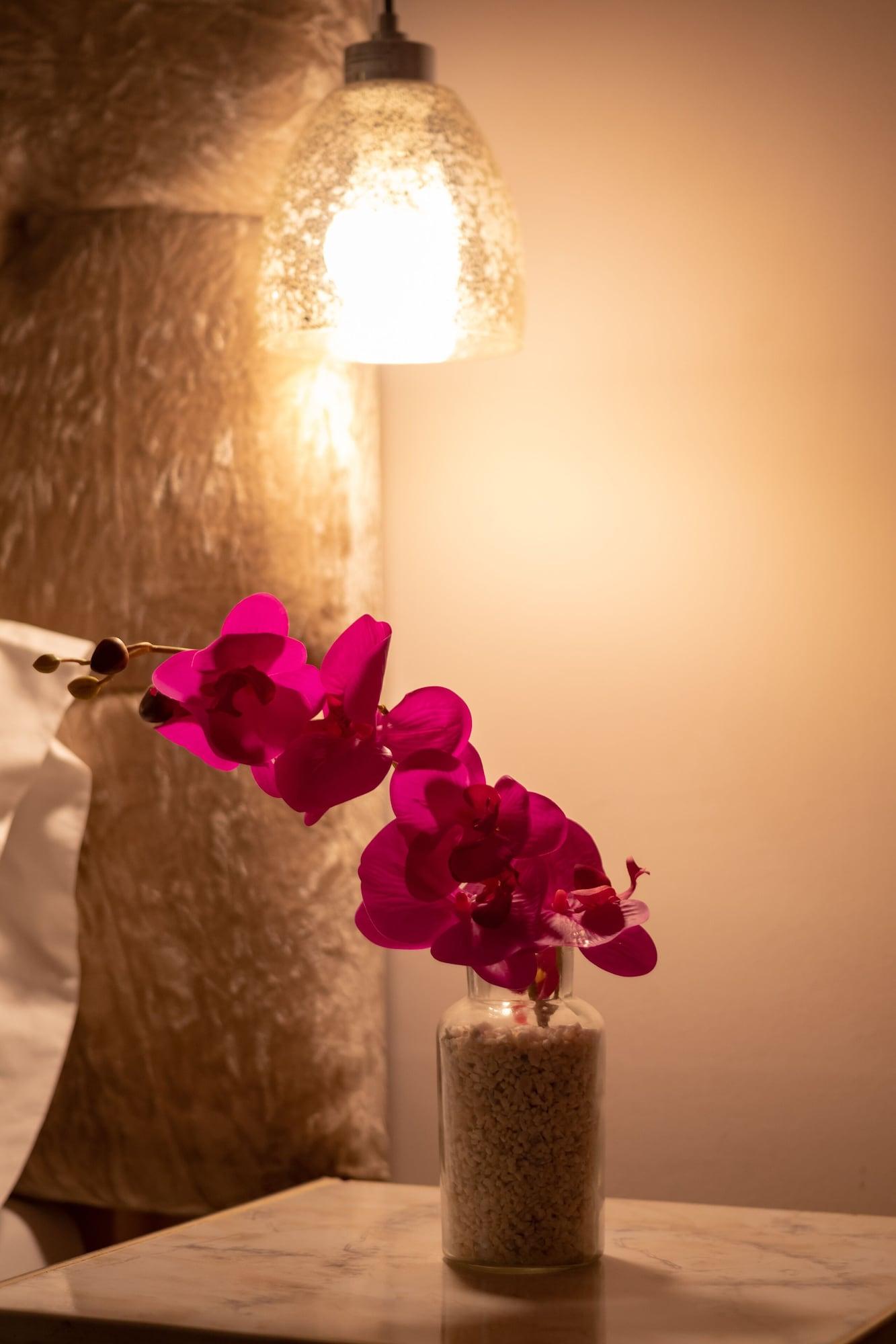 Aposentos De San Pedro Hotell Cartagena Eksteriør bilde