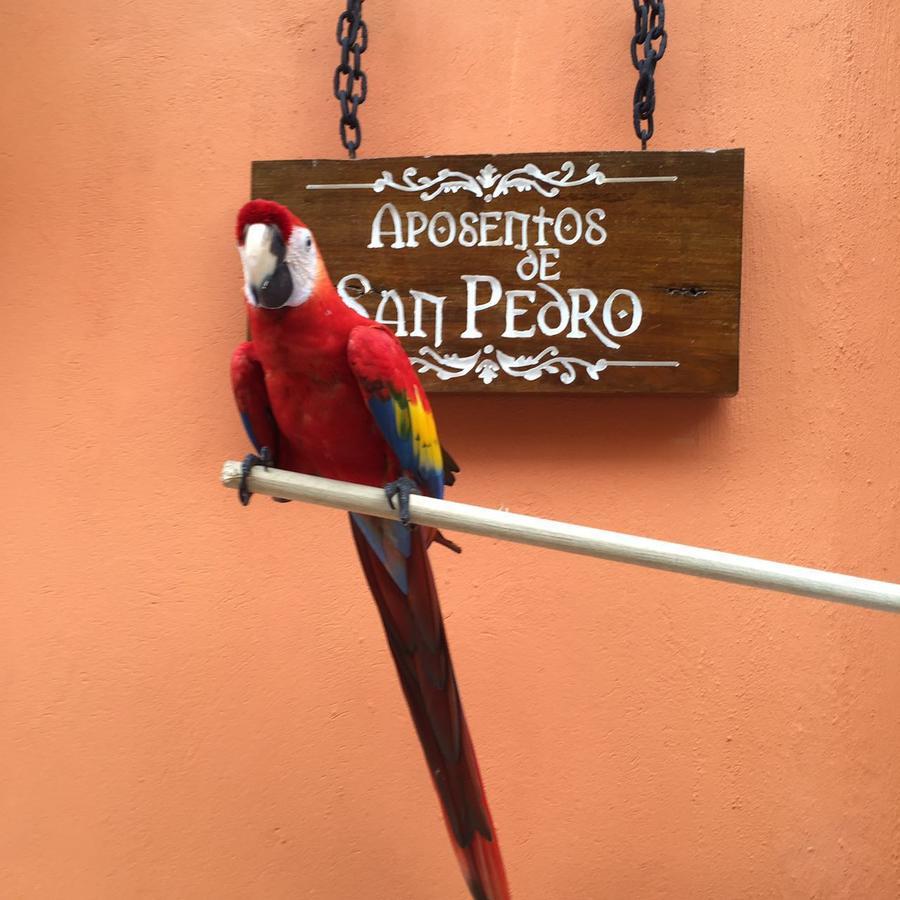 Aposentos De San Pedro Hotell Cartagena Eksteriør bilde